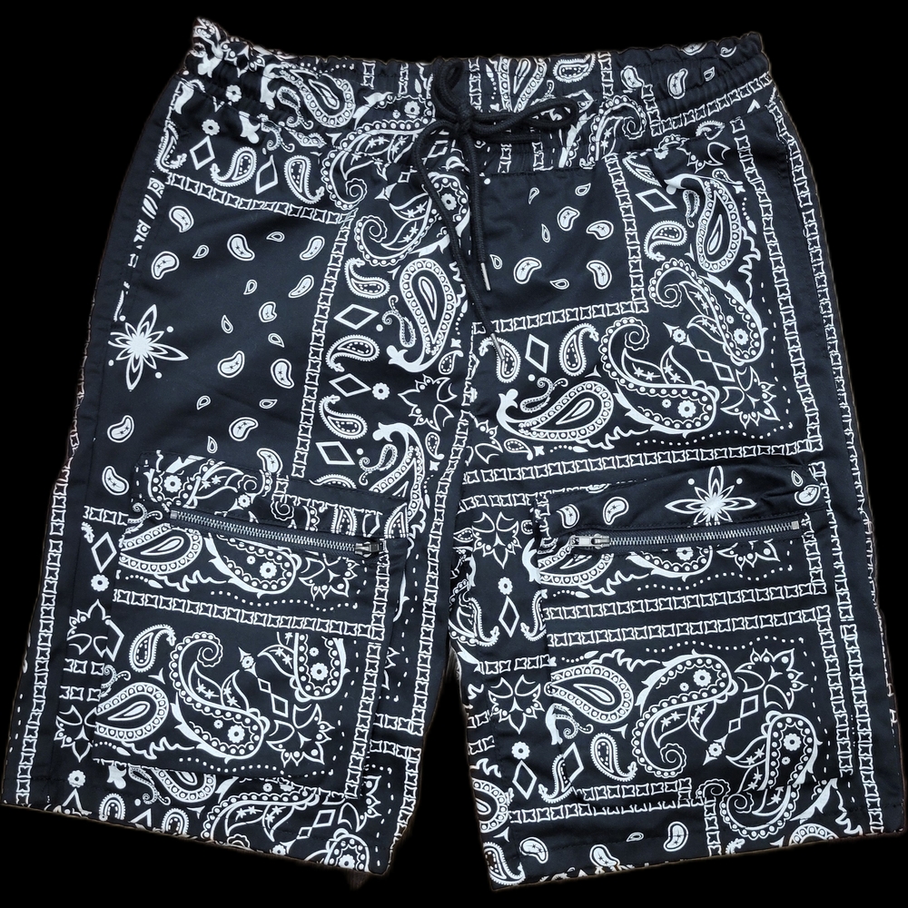 Black Paisley Men's Swim Shorts
